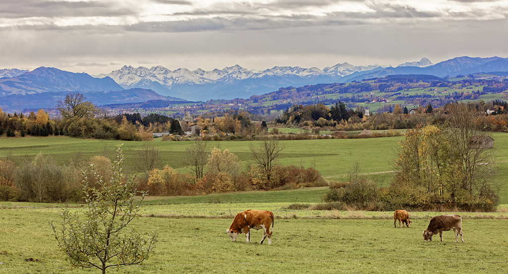 Alpenpanorma